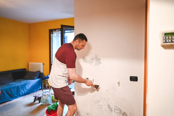 Best Insurance-Related Mold Remediation in Westmere, NY